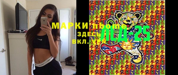 сатива Заволжье